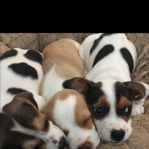 Meet your Posher, Sarena